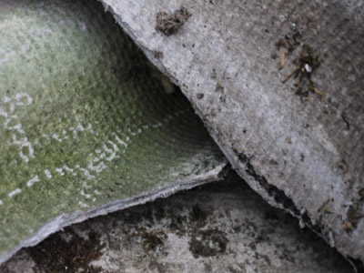 Sample Image Component