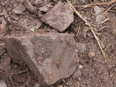 Sample Image Component