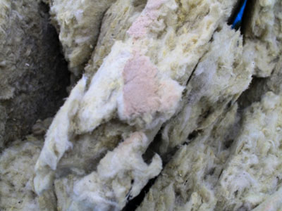 Sample Image Component